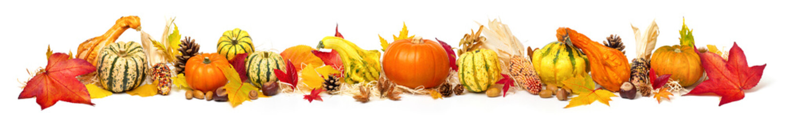 Buntes Arrangement für Herbst, isoliert auf Weiß, Panorama Format