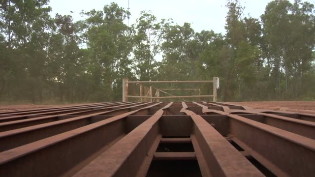 Cattle Grid Australia