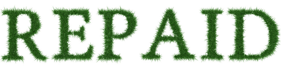Repaid - 3D rendering fresh Grass letters isolated on whhite background.