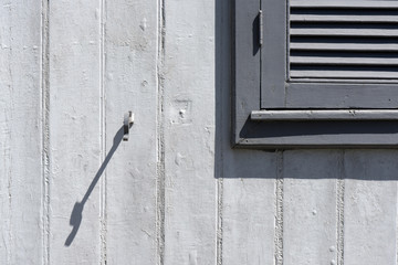 Composition in gray with old window and stopper