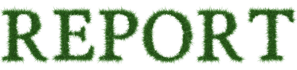 Report - 3D rendering fresh Grass letters isolated on whhite background.