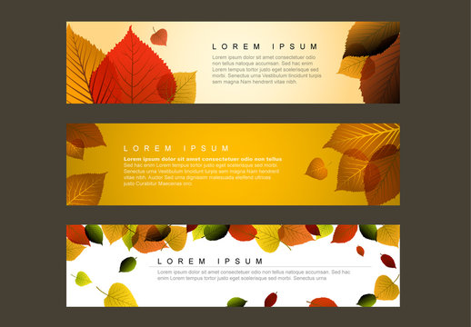 Autumn Web Banners Layout 1