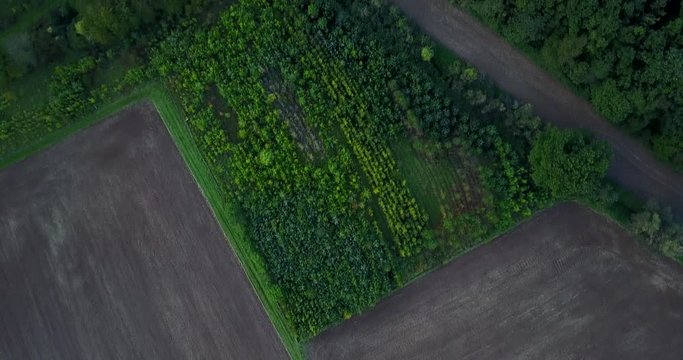 Hessen - Autbahnen, Landschaften & mehr aus der Luft