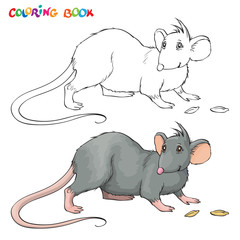 Vector Coloring book for children with rat.
