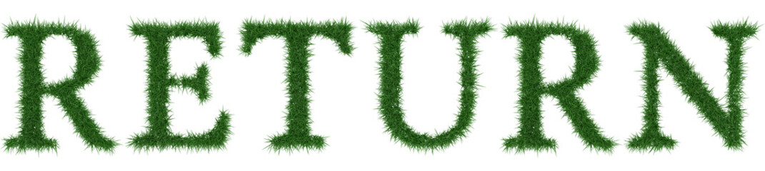 Return - 3D rendering fresh Grass letters isolated on whhite background.