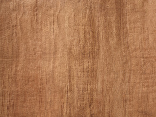 Fototapeta na wymiar Rough wood bark paper background