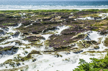 Playa con dunas de arena fina en Bornholm eDinamarca