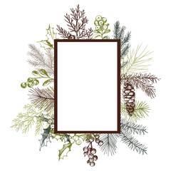 Vector frame with hand drawn Christmas plants