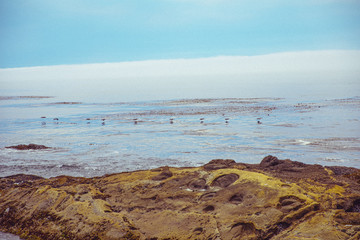 Single File 