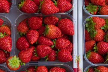 Group of strawberries in the plastic box