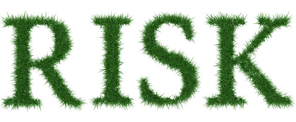 Risk - 3D rendering fresh Grass letters isolated on whhite background.
