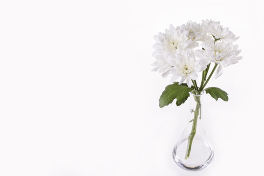 White chrysanthemum in a transparent vase on a white background