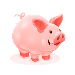 Pink piggy young cartoon animal, isolated white background.