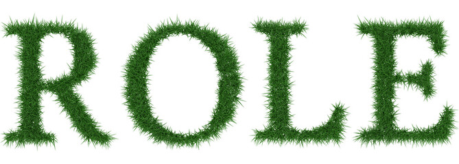 Role - 3D rendering fresh Grass letters isolated on whhite background.