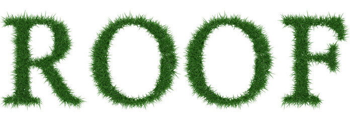 Roof - 3D rendering fresh Grass letters isolated on whhite background.