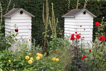 Fototapeta na wymiar Wooden beehives in a garden