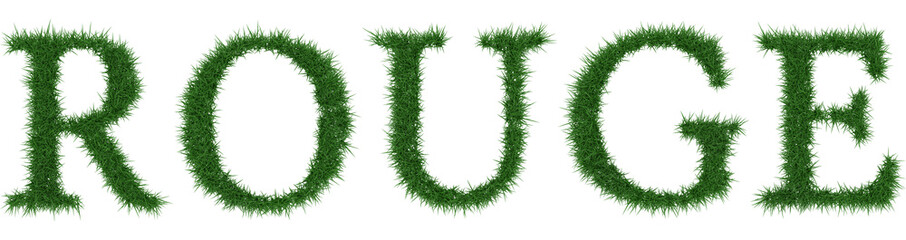 Rouge - 3D rendering fresh Grass letters isolated on whhite background.