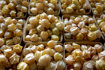 Baskets of ground cherries