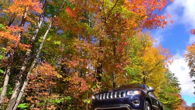 SLOW MOTION CLOSE UP: Blue SUV car driving on empty forest road over bright autumn leaves. Colorful fall foliage dancing behind a car driving over on forest road. Car swirling beautiful autumn leaves