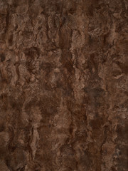 Textured cork background