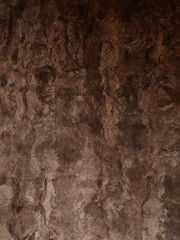 Textured cork background