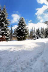 Fototapeta na wymiar Beautiful snowy landscape with ski slope for winter sports.