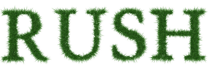 Rush - 3D rendering fresh Grass letters isolated on whhite background.