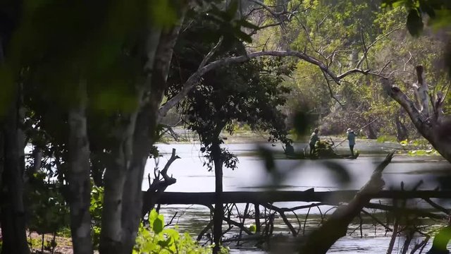 People On Water Source Through Tree Trunks - Handheld