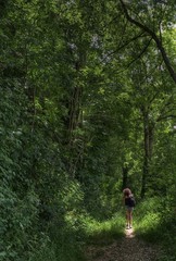Chemin forestier sur le plateau d'Hauteville, Ain, France