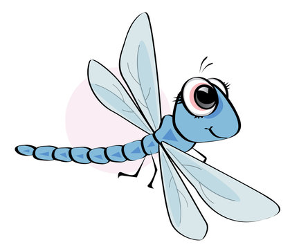 libellule