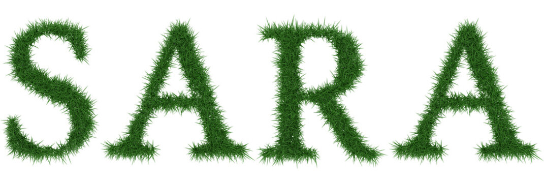 Sara - 3D rendering fresh Grass letters isolated on whhite background.