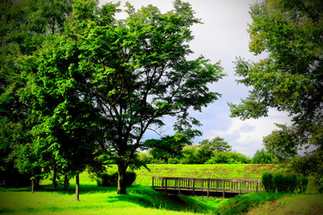 木製の橋がある風景