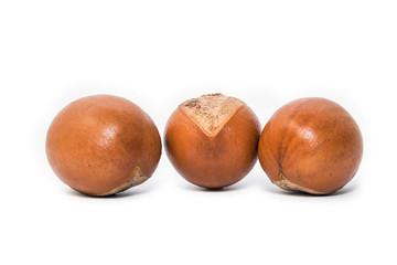 Shea nuts, Vitellaria paradoxa.