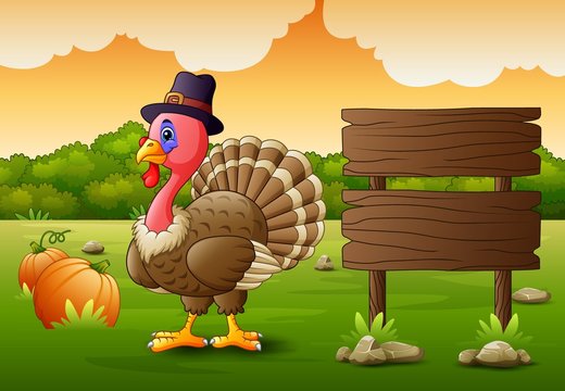 Thanksgiving day background with turkey bird and pumpkins