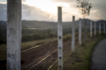 Fototapeta premium Country side