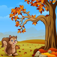 Cartoon squirrel in the autumn forest 