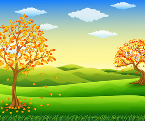 Autumn tree with falling leaves