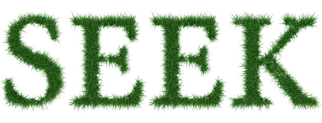 Seek - 3D rendering fresh Grass letters isolated on whhite background.