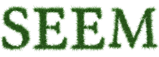 Seem - 3D rendering fresh Grass letters isolated on whhite background.
