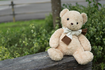 Teddy Bear sitting on a long chair in the garden