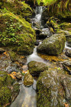 Small Waterfall in the Mountains of Northern California