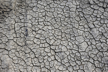 Climate warming dry chapped land