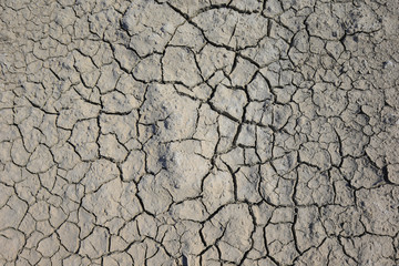 Climate warming dry chapped land