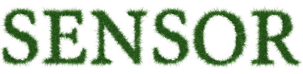 Sensor - 3D rendering fresh Grass letters isolated on whhite background.