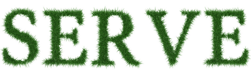 Fototapeta premium Serve - 3D rendering fresh Grass letters isolated on whhite background.