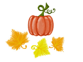 Colorful drawn bright set of fall pumpkin and yellow leaves for greeting card or advertisement on white background, isolated cartoon illustration painted by pencil and chalk, high quality