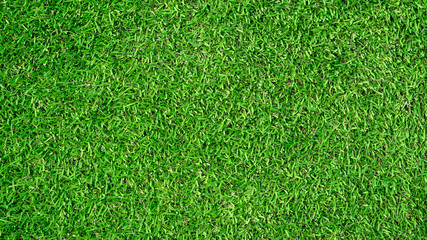 soccer field green grass background texture