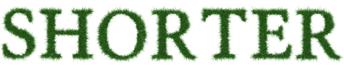 Shorter - 3D rendering fresh Grass letters isolated on whhite background.