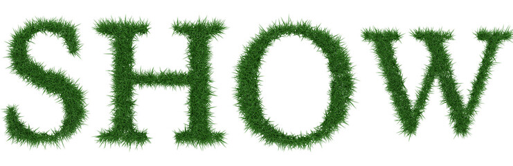 Show - 3D rendering fresh Grass letters isolated on whhite background.
