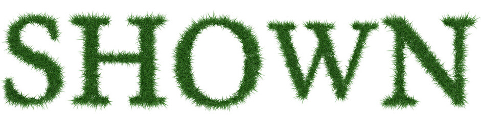 Shown - 3D rendering fresh Grass letters isolated on whhite background.